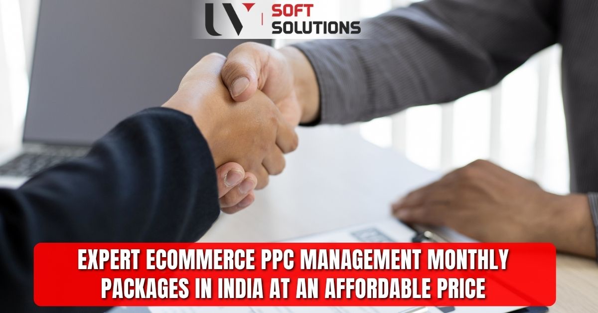 Expert Ecommerce PPC Management Monthly Packages in India at an Affordable Price