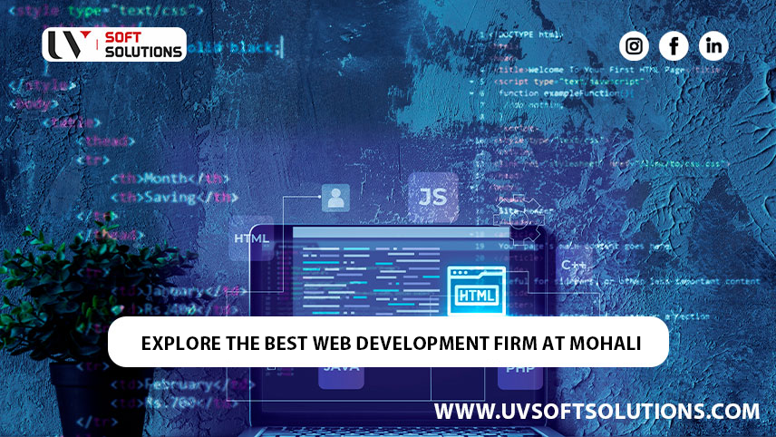 Explore The Best Web Development Firm at Mohali