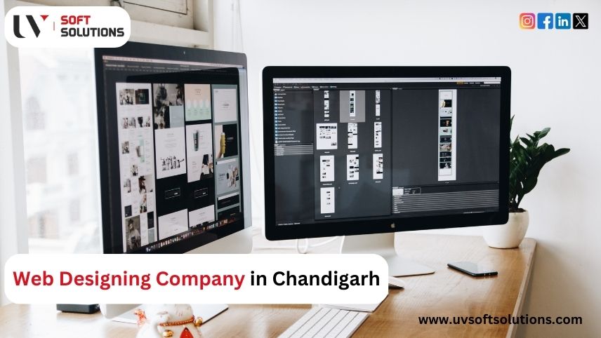 Web Designing Company in Chandigarh 